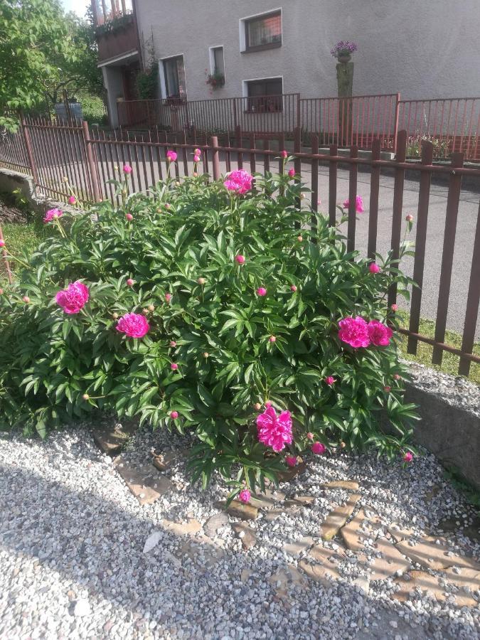 Drevenica Zapadne Tatry S Kupacou Kadou A Krbom Apartment Žiar Екстериор снимка