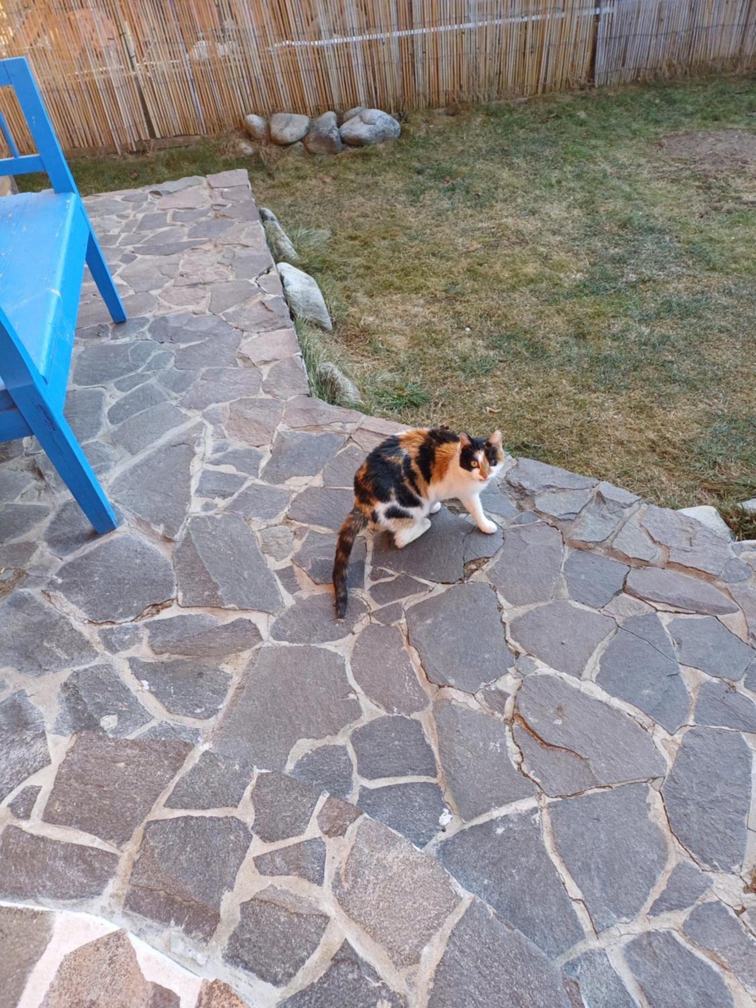 Drevenica Zapadne Tatry S Kupacou Kadou A Krbom Apartment Žiar Екстериор снимка